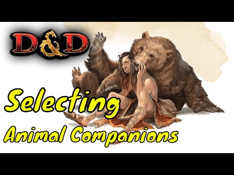 Selecting Animal Companions in Dungeons & Dragons 5E (DM Guide)