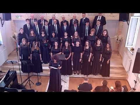 Concert corul Amadeus Dumbrăvița!