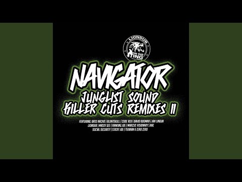 Junglist Sound (Bluntskull Remix)