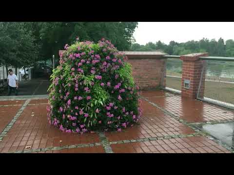 Польша Wycieczka do miasta Wronki.