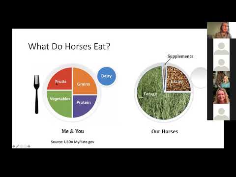 Feeding for Optimum Health & Condition