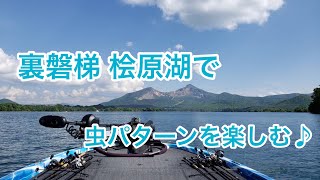 冨沢真樹 撮影　春ゼミの大合唱が行われる桧原湖で、虫パターンを楽しむ♪