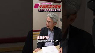 「生数科技」清華大発スタートアップ、動画生成AI「Vidu」で台頭〜是枝邦洋の中国企業図鑑〜6月22日配信の予告編です　#中国経済 #是枝邦洋 #高橋哲史 #生数科技