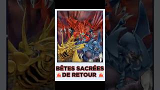 👹 LE RETOUR DES BÊTES SACRÉES ! GUIDE COMPLET POUR JOUER LE DECK DU CHAOS ! 👿⚡