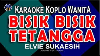 Download lagu BISIK BISIK TETANGGA KARAOKE | VERSI KOPLO NADA WANITA | ELVIE SUKAESIH mp3 Download lagu BISIK BISIK TETANGGA KARAOKE | VERSI KOPLO NADA WANITA | ELVIE SUKAESIH mp3