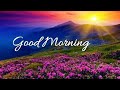 Good Morning Status Good Morning Song Good Morning Whatsapp Status Video