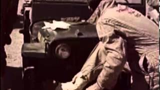 We Were Promised Jetpacks - Pear Tree