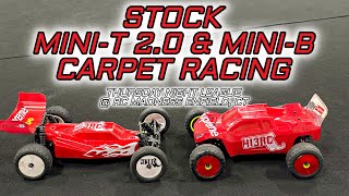 Losi Mini-T 2.0 Mini-B Box Stock Carpet Racing  - RC Madness Enfield CT Thursday Night League