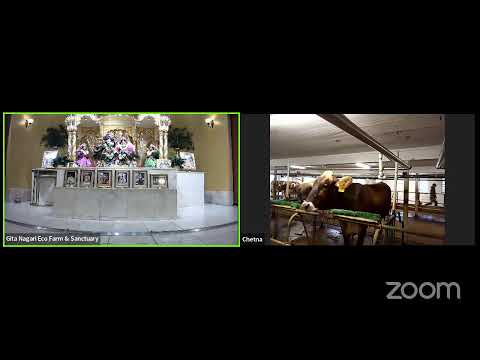 Immunity to All Fear, Lamentation and Illusion | Srimad Bhagavatam 4.29.39 with HG Sarvatma Dasa