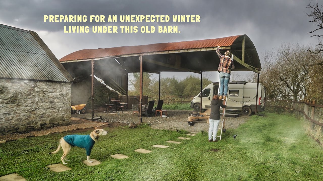 PREPARING FOR OUR FIRST WINTER on our REMOTE LAND in IRELAND.