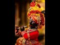 Rasio Rupalo Rang Reliyo Shree Krishna WhatsApp Status Lord Krishna Status Kirtidangadhvi