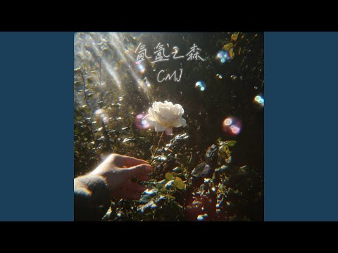 氤氲之森