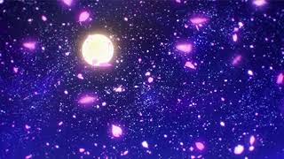 LIL WAYNE - PERFECT STRANGERS (SLOWED + REVERB) [nice bike edit]