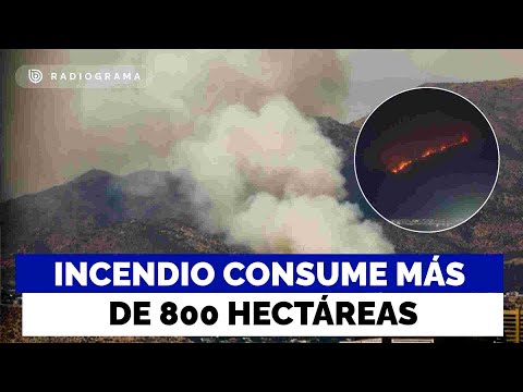 Incendio en San Carlos de Apoquindo lleva más de 800 hectáreas consumidas