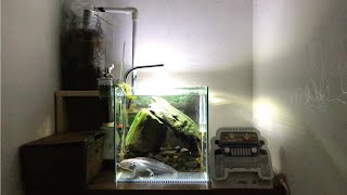 ウーパールーパー な つく Watch Hd Mp4 Videos Download Free