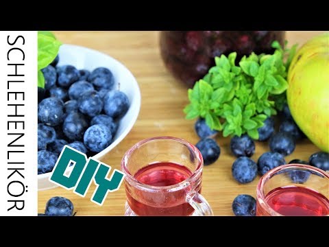 DIY: SCHLEHENLIKÖR  selber machen