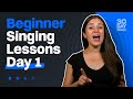 Vocal Lessons Day 1 Singing Lessons For Beginners 30 Day Singer