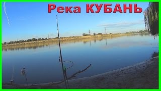 Какая рыба клюет на реке кубань и когда