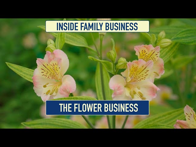 Is the flower business profitable?
