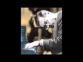 Bill Evans - Are you all the things