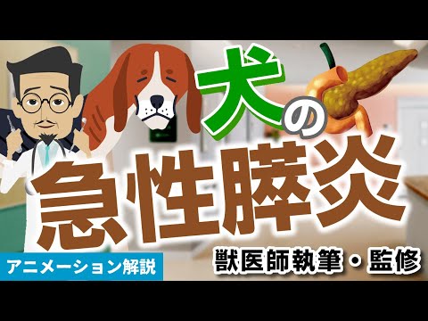 あなたの犬がおなかが痛いかどうかを知る方法