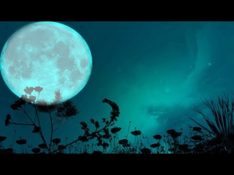 Calero LDN & Cry Tenet - Solo he pedido