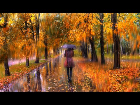 Sergey Grischuk  -  Rain...Rain (Instrumental)
