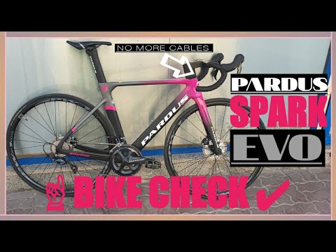 𝙿𝙰𝚁𝙳𝚄𝚂 𝚂𝙿𝙰𝚁𝙺 𝙴𝚅𝙾 (ᗷIKᗴ ✔︎)