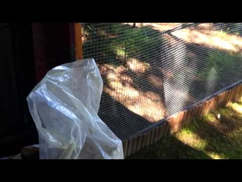 Hühner und Parasiten - Tipps zur Vorbeuge