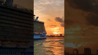 Oasis of the Seas 🛳️ #like #share #comment #subscribe #cruiseship #cruise #vacation #shorts #short