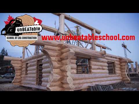 unBEATable log building school by Timberking Beat