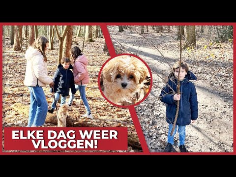 WE'RE BACK WITH DAILY VLOGGING! - #1642