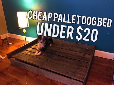 download lagu mp3 mp4 Diy Great Dane Dog Bed, download lagu Diy Great Dane Dog Bed gratis, unduh video klip Diy Great Dane Dog Bed