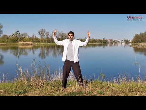 Taiji-Qigong - Shibashi Set 1 | 18 Übungen für mehr Harmonie