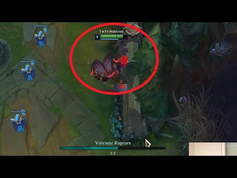 Wierd ornn bug