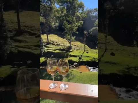 INTERIOR DE MINAS GERAIS#brasil #fazenda#minasgerais#roça#agro#vidanaroça #interior#sitio#shorts