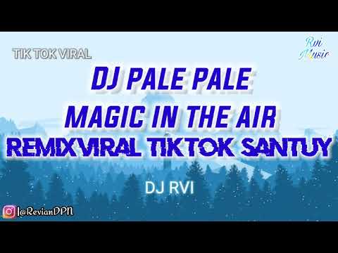 DJ PALE PALE VIRAL TIK TOK ! Magic In The Air #RviMusic