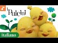 Pulcini Italian Children S Nursery Songs Italiano Canticos