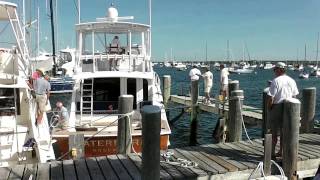 preview picture of video 'Block Island August 2014'