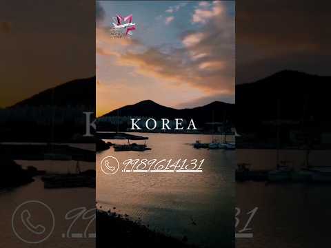 Travel with sudhir 🌍#travel #new #travelandtourism #tourism #trending #ytshorts #status #korea  #fun