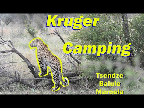 Satellite Tour | Maroela | Tsendze | Balule | Camping in Kruger National Park Satellite Campsites