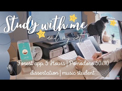 9/17/2020📚 Study with Me LIVE 5 hours -  [forest app. -  pomodoro]