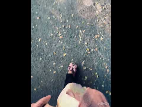 #foryou #walking #views #nature #naturelovers #trending