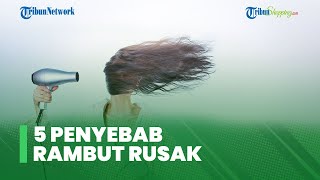 Hati-hati, 5 Kebiasaan Ini Bisa Jadi Penyebab Rambutmu Rusak, Kering dan Bercabang