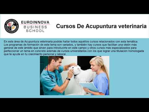 Cursos Youtube Online Euroinnova