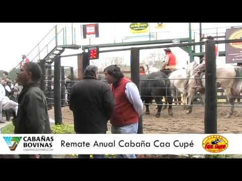 Cabañasbovinas.com - Anibal Godoy