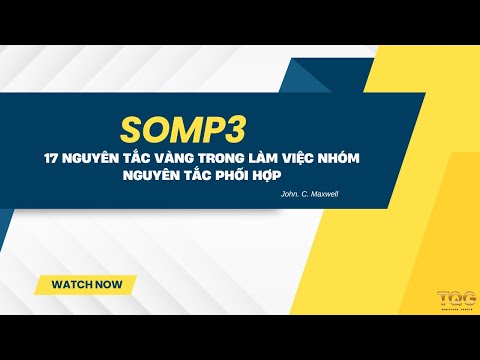 MP3 | 17 nguyên tắc vàng trong làm việc nhóm | Nguyên tắc phối hợp | John C. Maxwell