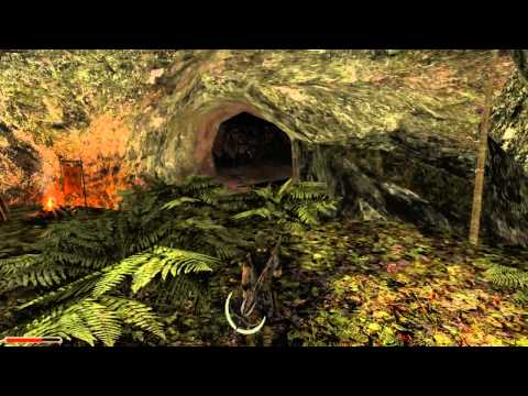 Let's Play Gothic 2 [HD] #61 - Franco und die Sumpfhaie