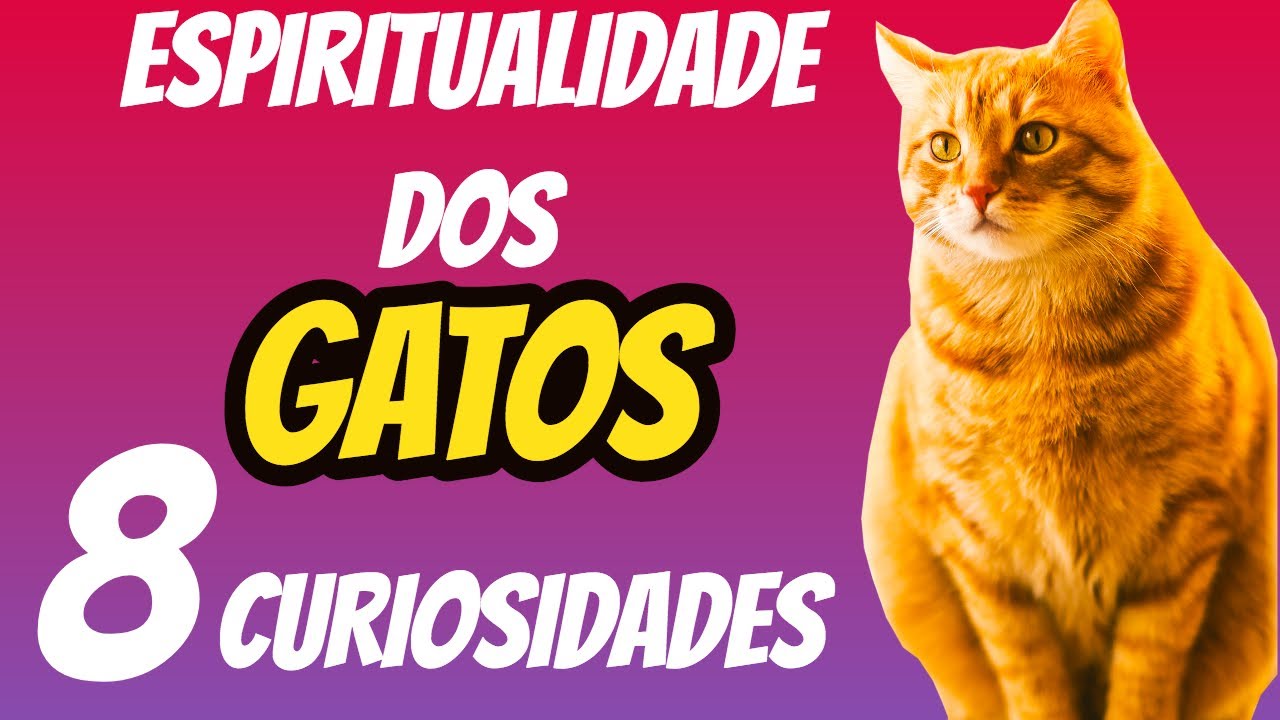 8 Curiosidades Sobre A Espiritualidade Dos Gatos Que Você Precisa Saber