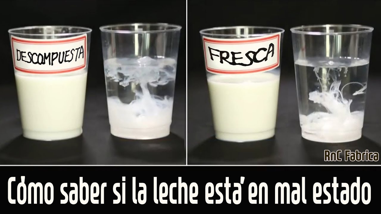 Watch 2 formas de saber si la leche está en mal estado | Trucos caseros Now 2 formas de saber si la leche está en mal estado | Trucos caseros